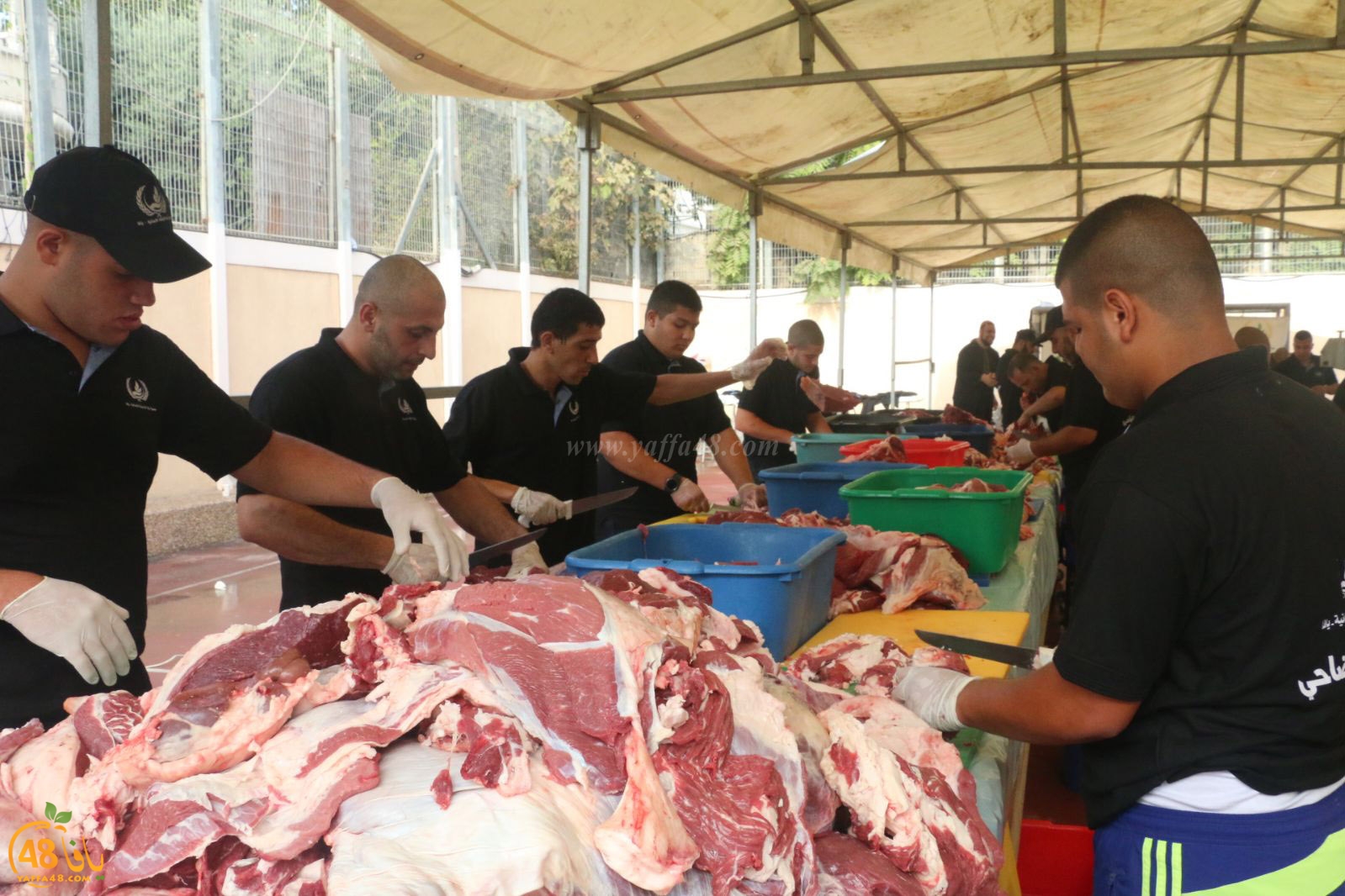 lo7om jam3iya u3 (8).jpg